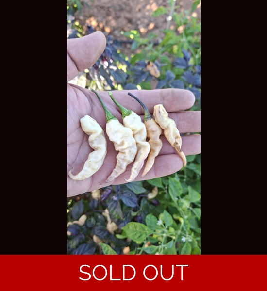 FADDAS BLACK & WHITE (F5)->(f6)  (10+seeds)